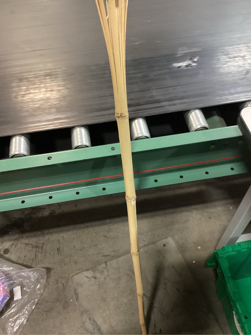 Condition photo showing Good Condition for torch tiki luau bmbo 57"24
