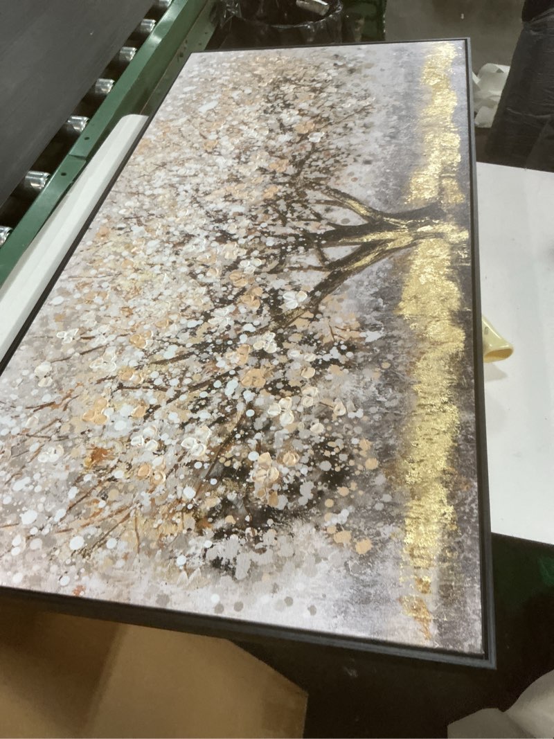 Condition photo showing Good Condition for Gold Wall Decor Large Framed Canvas Art for Living Room Vintage Botanical Pictures Office Poster Prints Artwork Paintings for Home Hotel 29”x58” 29"x58" Gold