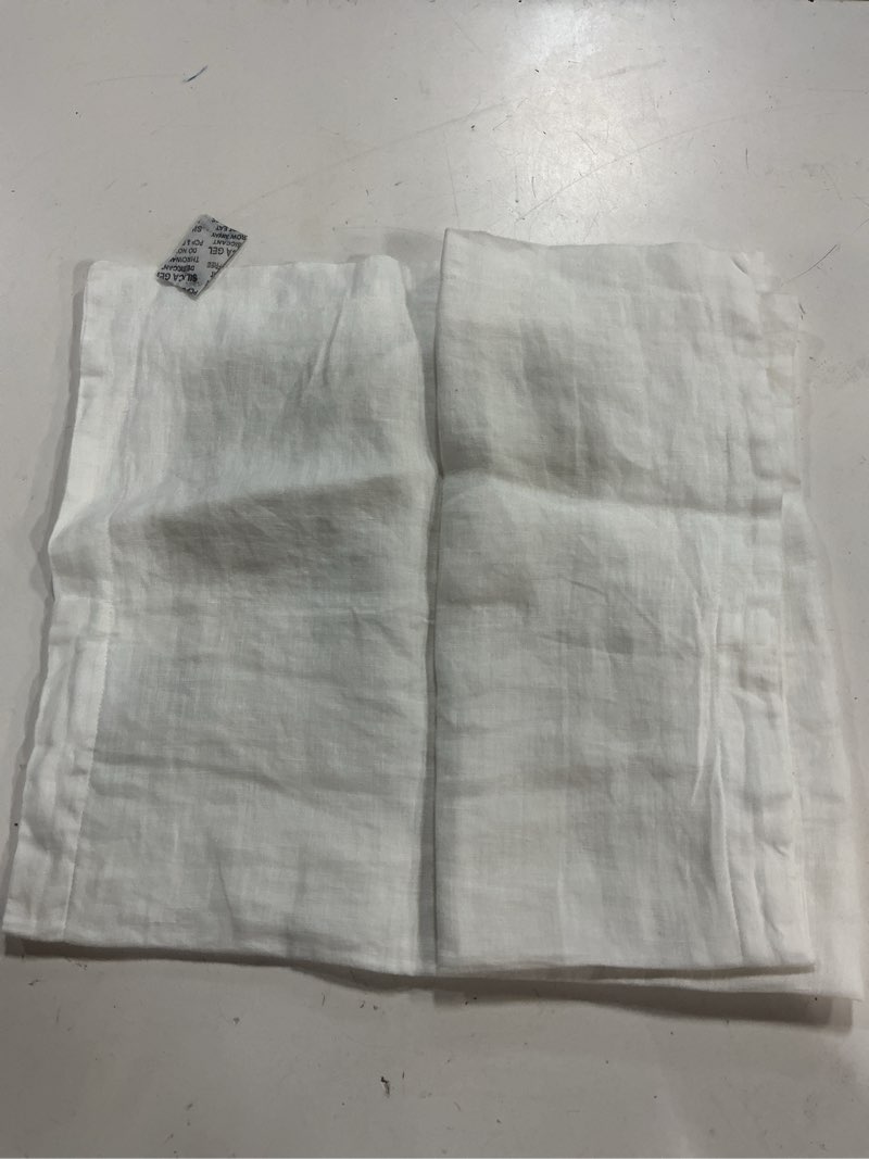 Condition photo showing Good Condition for quince european linen euro sham, euro, white