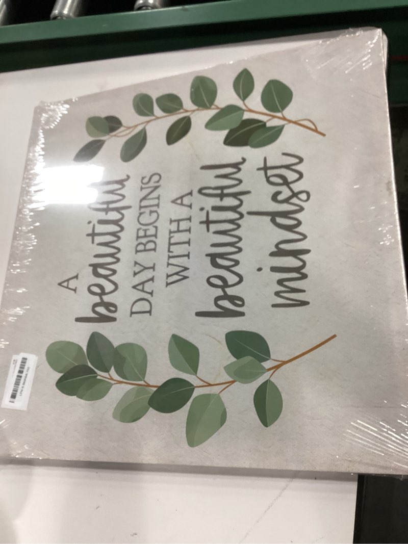 Condition photo showing Good Condition for Framed Inspirational Wall Art Minimalist Eucalyptus Wall Decor Motivational Positive Quotes Canvas P