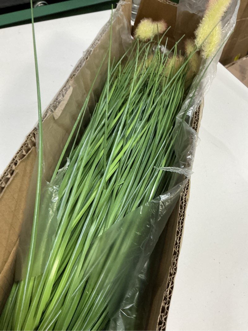 Condition photo showing Good Condition for 39 inches Extra Lush Artificial Reed Grass (6pcs), Luxury Fake Tall Plants with 12 Heads Dogtail Flower, Luxury Faux Tall Greenery with Dogtail for Garden Porch and Home Decor (Green-12) Green-12 39 inches