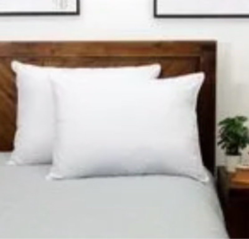 Set 2 of two soft goated pillows Size 18 inx10  in