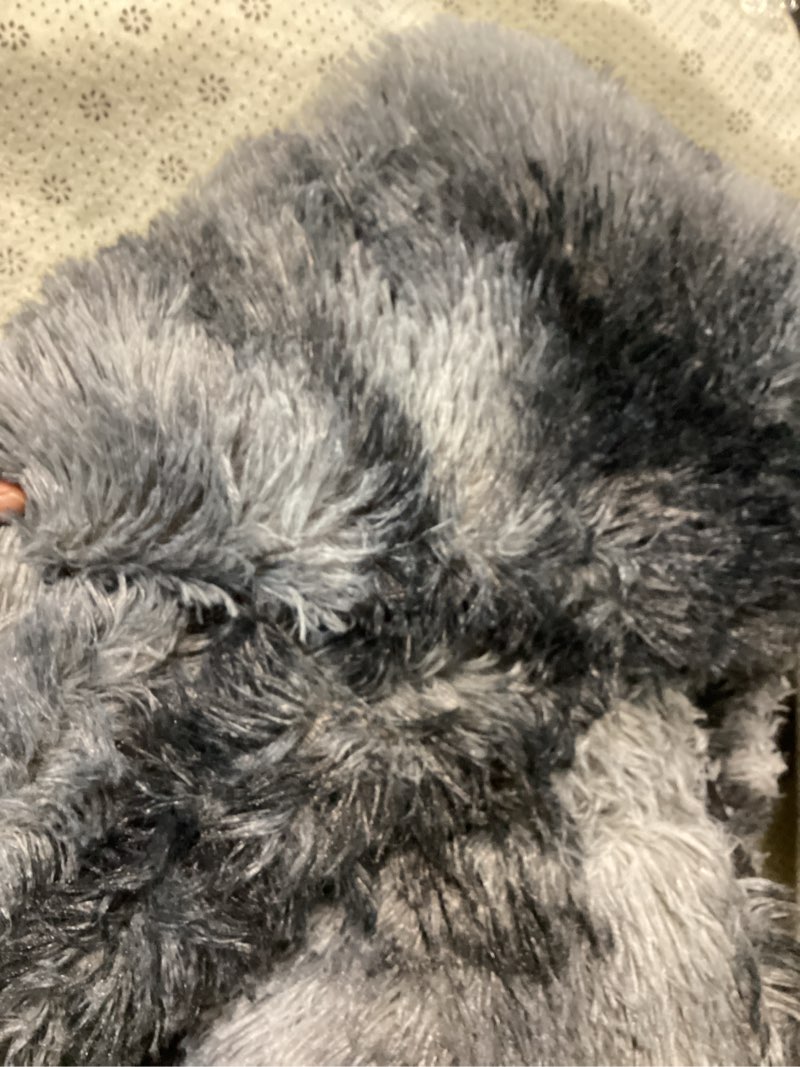 Condition photo showing As Is for 8x10 area rug for living room:ultra soft fluffy shag light grey rugs,large fuzzy plush indoor non slip carpet washable rug for bedroom kids nursery office dorm modern decor(light grey 8'x10') light gray 8' x 10' (rectangular)