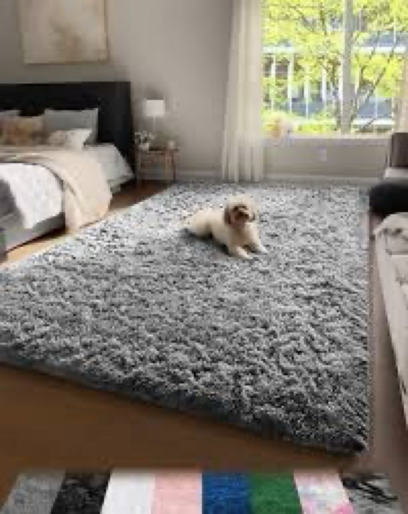 Ophanie Upgrade 4x6 Rugs for Bedroom Grey Fluffy Shaggy Soft Area Rug Gray No