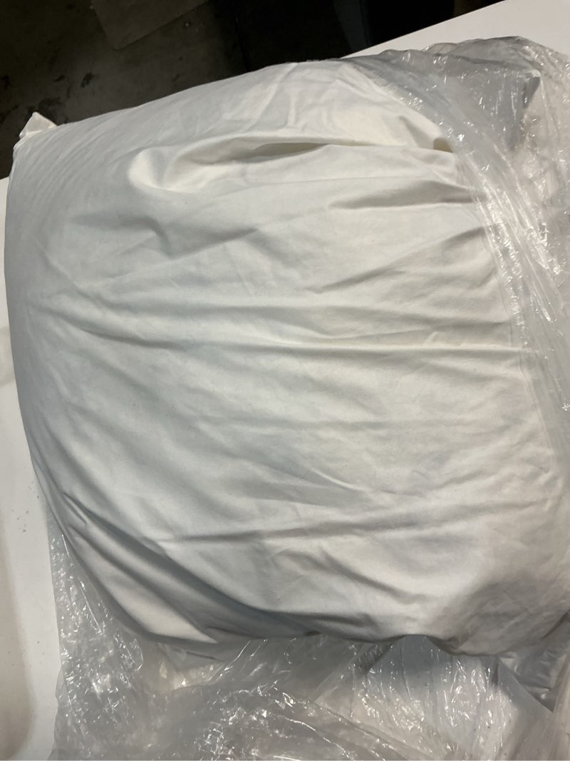 Condition photo showing As Is for quince premium feather pillow insert (set of  1)  22x22, no color