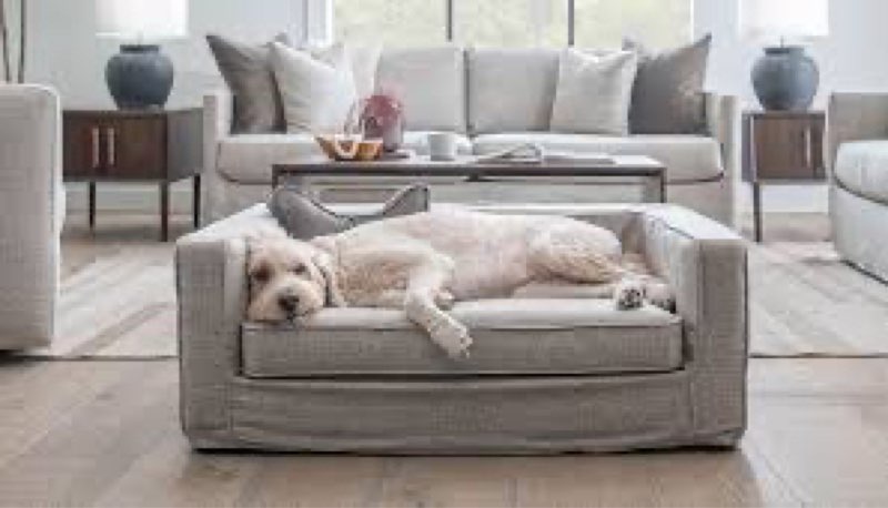 Dog Sofa