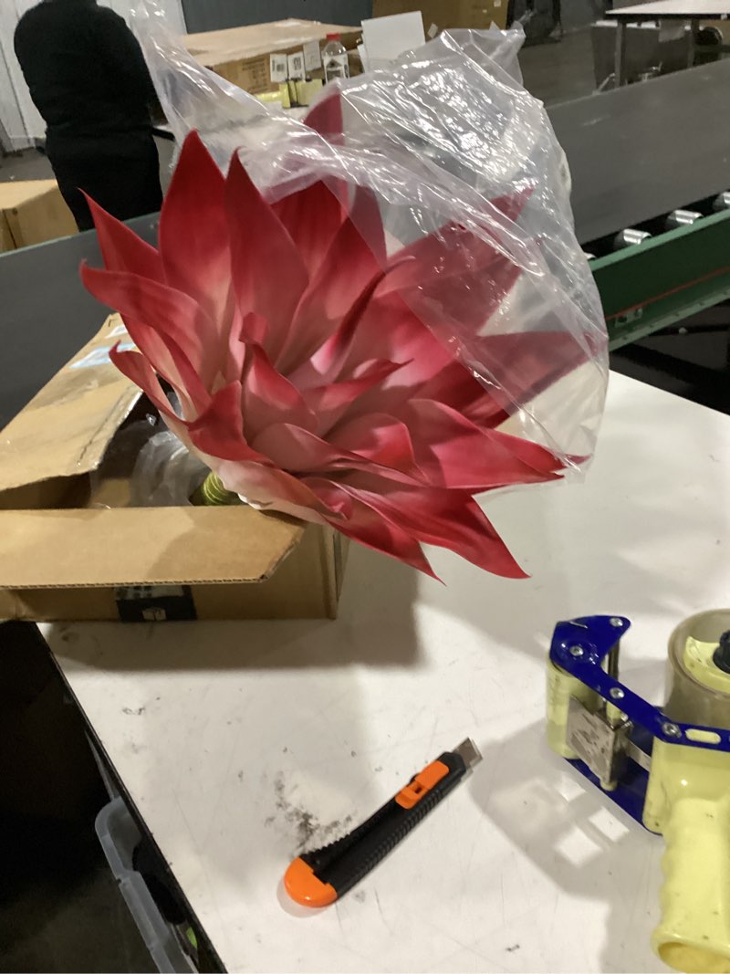Condition photo showing New/Like New for velener fake agave plant outdoor, artificial plants large size for indoor decor, faux plant dual agave (22 inch,red/white)-no pot red white 22 inches