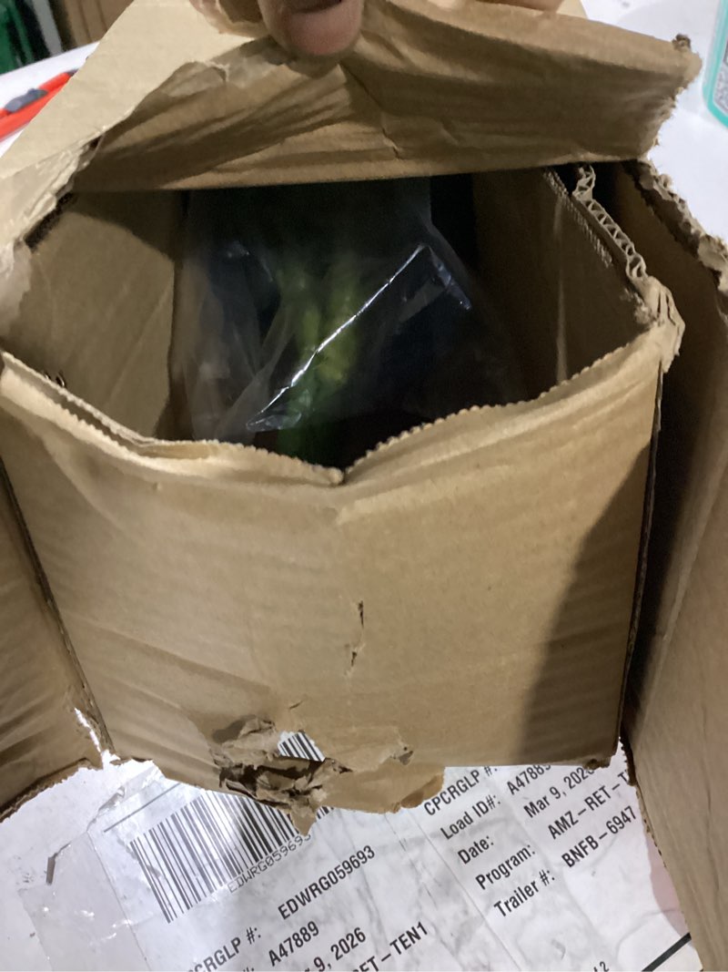 Condition photo showing New/Like New for Single Silky Artificial Boston Fern Bush, 49Inch Large Artificial Ferns for Outdoors, Large Faux Ferns Artificial Plants,Suitable for Decorating Office, Living Room Faux Greenery,95Branches