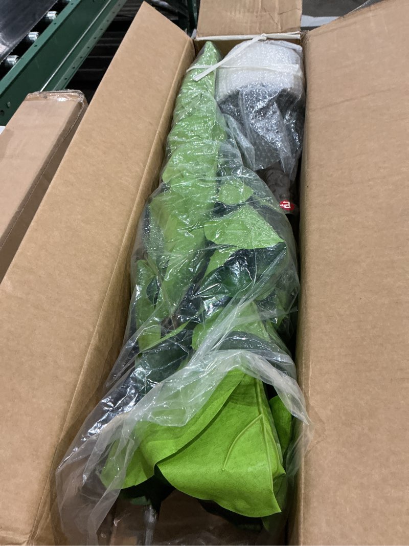 Condition photo showing Good Condition for pure garden artificial fiddle leaf fig tree - 6ft fake plant with pot and natural feel leaves for home or office decor - artificial plants indoor