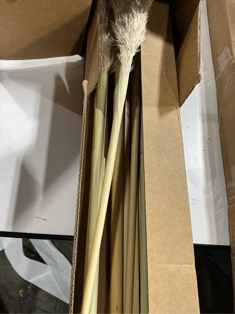 Condition photo showing As Is for 40" inch 11 stems natural pampas grass tall decor,pompas grass,large brown tall pampas grass for floor vase,wedding decorations,party,boho home decor,and creating a boho ambiance 40inch-11pcs brown