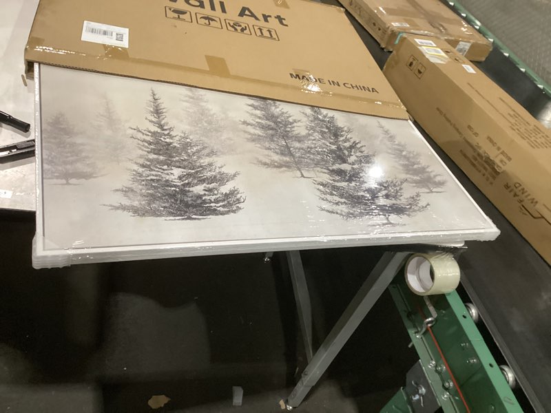 Condition photo showing New/Like New for framed black and white forest landscape wall art, modern minimalist pine tree canvas art prints, contemporary nature pictures wall decor for living room bedroom dining room hallway office 24x36 in 36"l x 24"w black and white pine tree