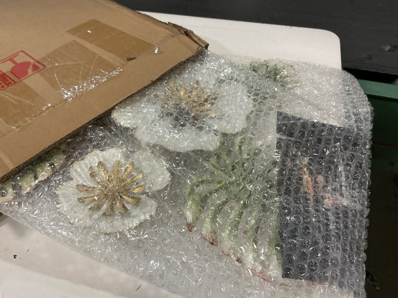 Condition photo showing Good Condition for sintosin vintage 3d metal flowers wall decor for living room 24 x 13 inch, hanging white and gold antique metal decorative leaves wall art decor for dining room bedroom hallway entryway green