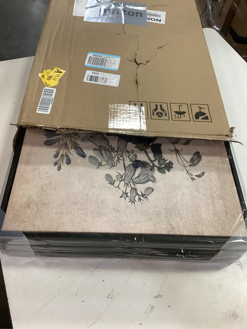 Condition photo showing Good Condition for Large Framed Botanical Wall Art - Jane Loudon Floral Wall Decor Set of 3 Vintage Flower Painting Prints Retro Rustic Morning Glory Canvas Pictures for Living Room Bedroom Office Artwork 20"x28" Each beige 20"x28"x3 Framed