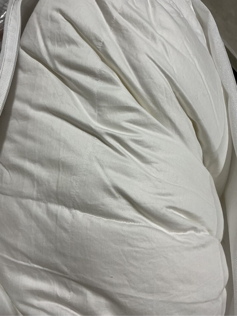 Condition photo showing Good Condition for luxe goose down comforter, king/calking