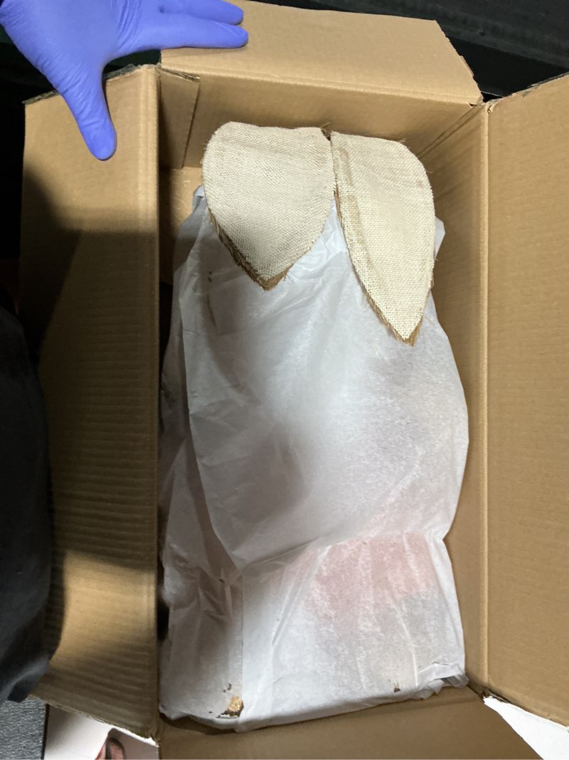 Condition photo showing Good Condition for juegoal easter bunny decor, 32"(2.6ft) large standing sisal rabbit figurine, handmade easter straw mrs. bunny statues, cute photo props gifts for farmhouse spring home porch decorations style a