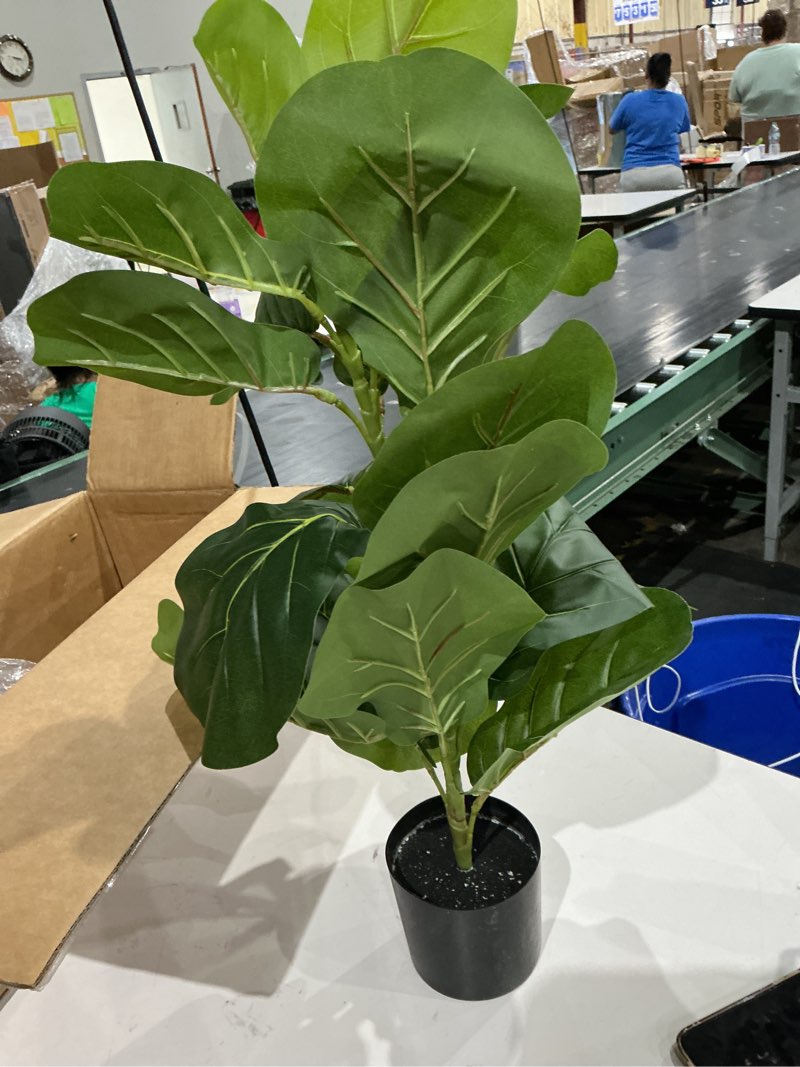 Condition photo showing Good Condition for besamenature 30.5" little artificial fiddle leaf fig tree/faux ficus lyrata for home office decoration, ships in silvery gray planter silvery grey planter 1