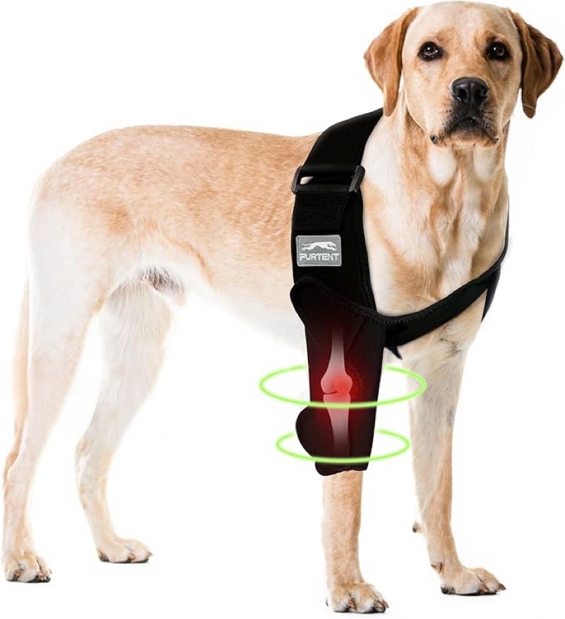 Furtent Dog Front Leg Brace for Elbow and Shoulder Support, Elbow Hygroma Dysplasia Dislocation, Ref XXL