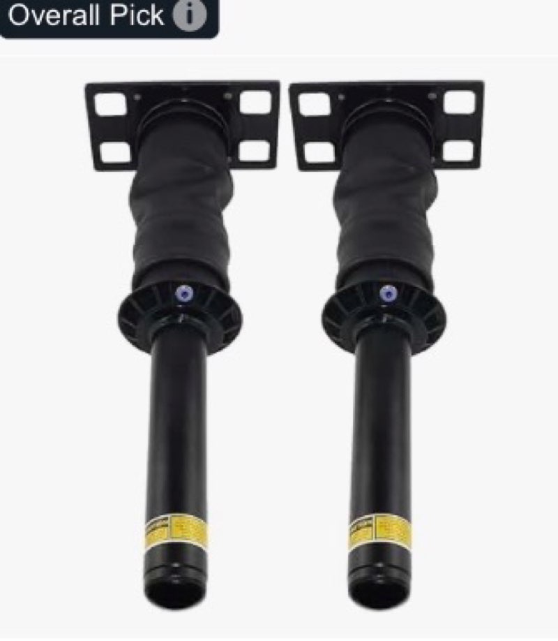 DICMIC Rear Cab Air Strut Shock Absorber Compatible with 2008-2017 International Harvester Prostar P