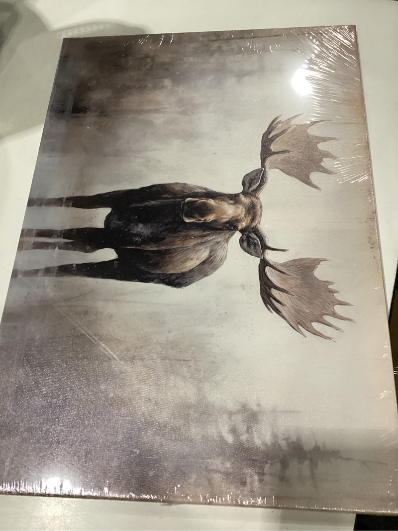 Condition photo showing New/Like New for zxhywym large moose wall art wildlife canvas pictures rustic forest wilderness animal painting elmer moose artwork for home cabin wall decor frame (c, (16.00" x 24.00")) c 16.00" x 24.00"