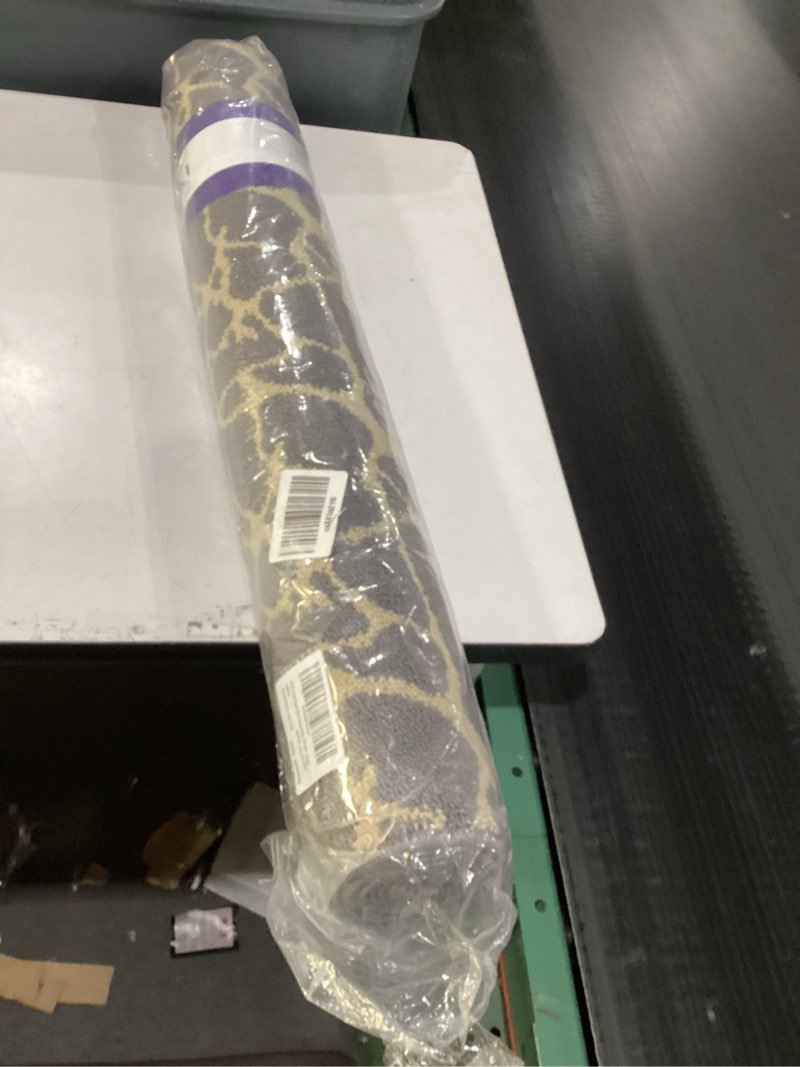 Condition photo showing Good Condition for DEXI Front Door Mat for Entryway, Dirt Trapper Non Slip Absorbent Entry Rugs, Low Profile Washable Abstract Welcome Doormat for Inside Entrance Floor, 3x5 ft, Dark Grey 3' x 5' (Rectangular) Dark Grey