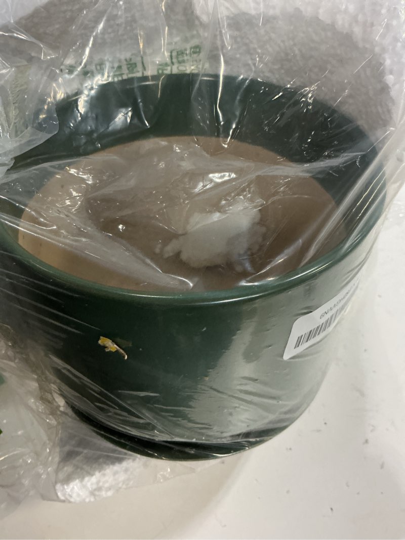 Condition photo showing Good Condition for le tauci ceramic pots for plants, 6.8 inch plant pots with drainage hole & saucer, modern planter for indoor plants, stable & durable, perfect for living room or office decor, forest green forest green 6.8 inch