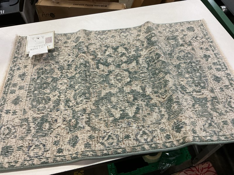 Condition photo showing Good Condition for allen + roth Olive Flowers Indoor Floral & Botanical Persian 24in x 35in Green Area Rug
