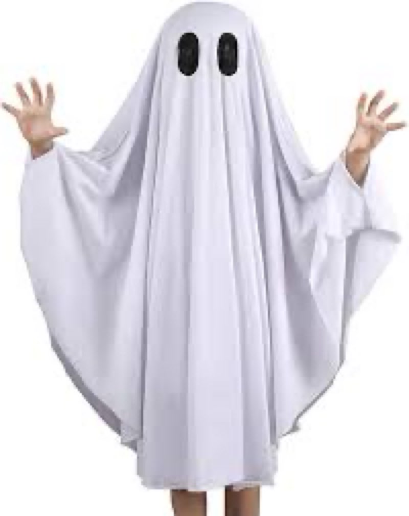 Spooktacular Creations Halloween Ghost Costume for Kids, Ghost Sheet Costume for Boys, Halloween Rol