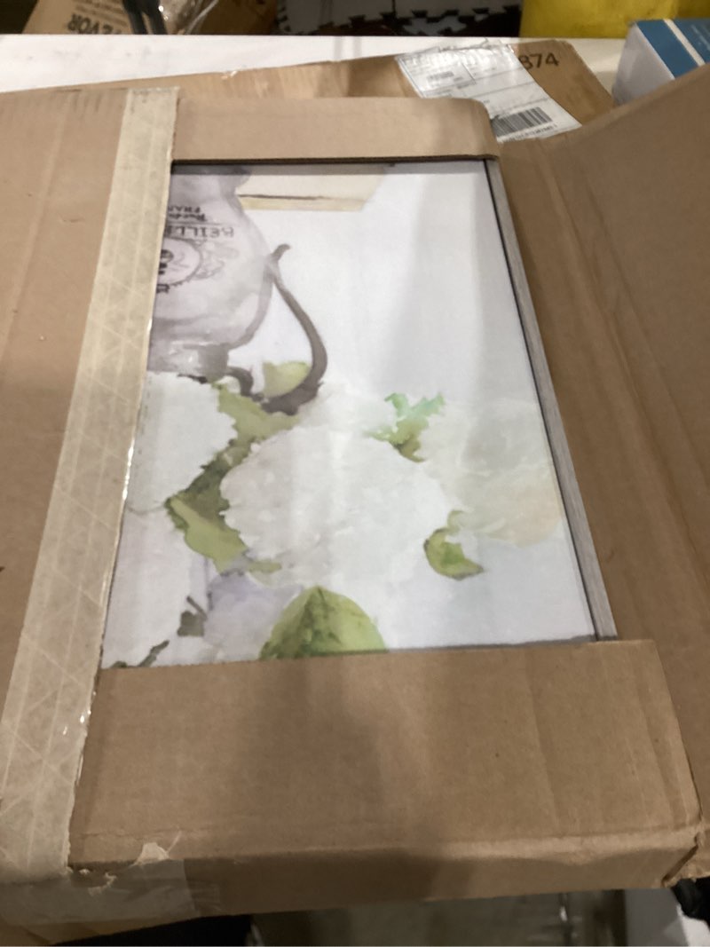 Condition photo showing New/Like New for stupell industries 'hydrangea in french pitcher', framed giclee art, gray, 16 x 20 inches, easy to hang and sturdy, made in usa, by stellar design studio 20"l x 16"w framed giclée (1.5"d)