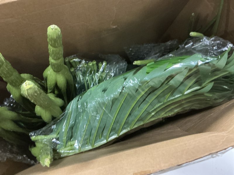 Condition photo showing Good Condition for Tigeen 10 Pcs Artificial Palm Leaves Tree 33 Inch Fake Tropical Plant with Stems Large Faux Palm Leaf Bush Greenery for Hawaiian Luau, Jungle Safari, Pool Beach Party, Wedding, Garden, Indoor Outdoor