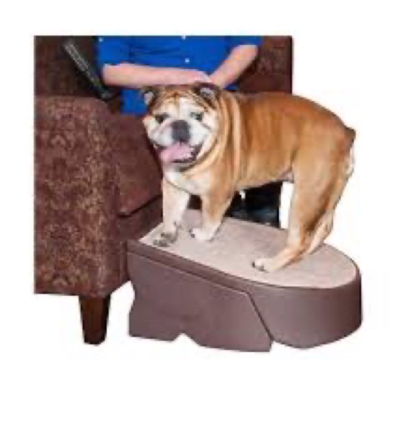 Pet Gear Stramp Stair and Ramp Combination for Dogs/Cats, Easy Step, Lightweight/Portable, Sturdy, E