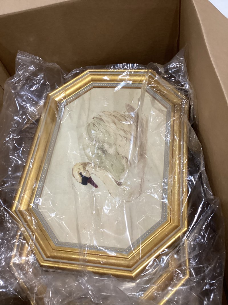 Condition photo showing Good Condition for gold framed canvas wall art vintage decor,white swan painting prints,8"x12"picture frame with accessories for living room bathroom kitchen bedroom 8x12 ?swan?