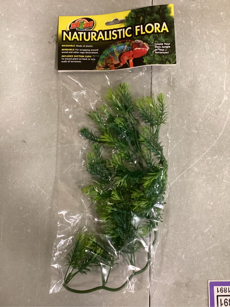 Condition photo showing New/Like New for Premium Zoo Med Naturalistic Flora Borneo Star Terrarium Plant