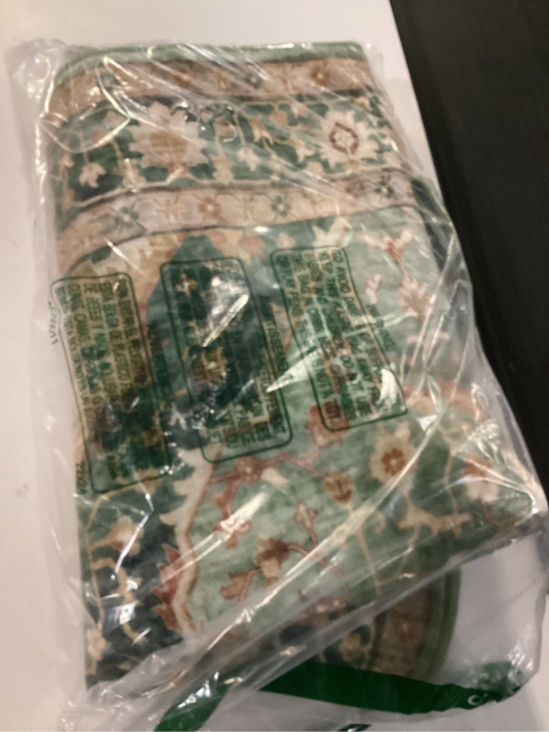 Condition photo showing Good Condition for deerly green rug 3x5 area rug with non-slip backing, washable rugs for bedroom living room kitchen, distressed carpet printed low-pile soft dorm rug room decor(border green) border green 3'x5'