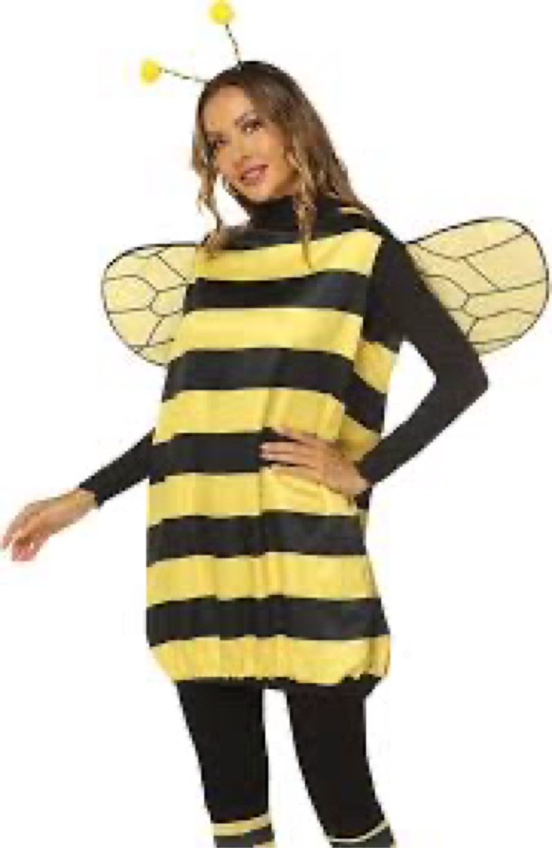 Owl's-Yard Women's Halloween Bee Cosplay Costume Set Bee Dress with Wings Headband Leg Sleeves for H ( M ) 