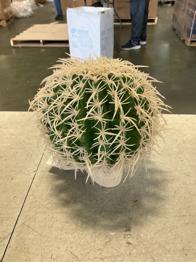Condition photo showing New/Like New for Exo-Terra Desert Barrel Cactus Terrarium Plant