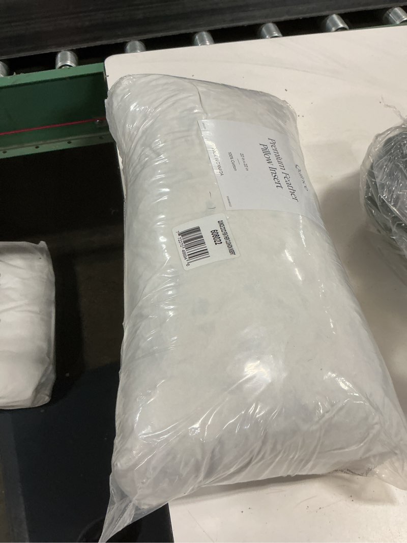 Condition photo showing New/Like New for premium feather pillow insert, 22x22, no color