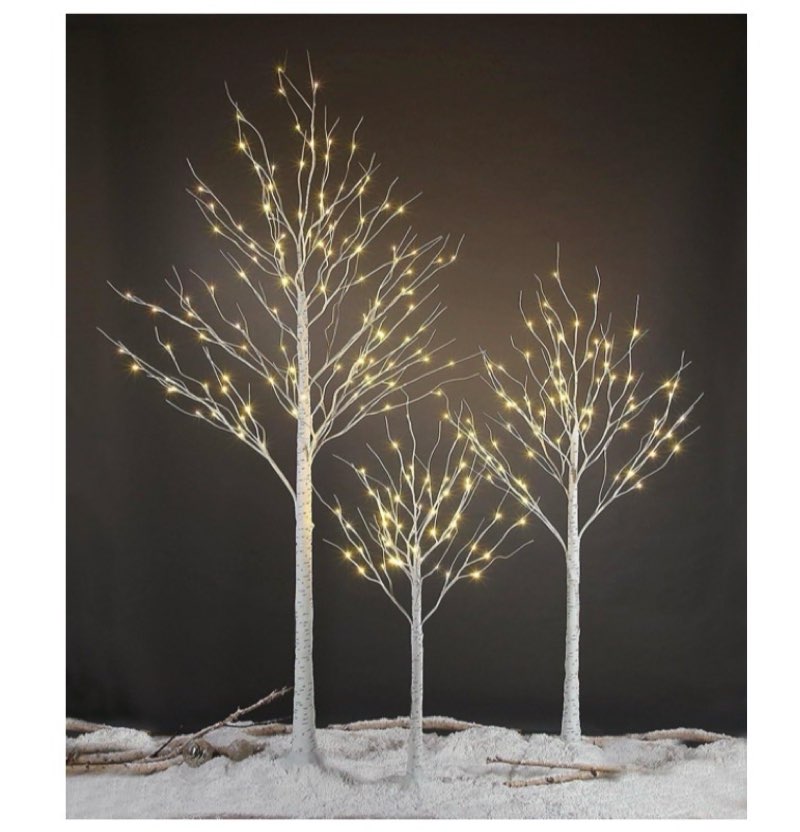 Set of 3 light up birch tree