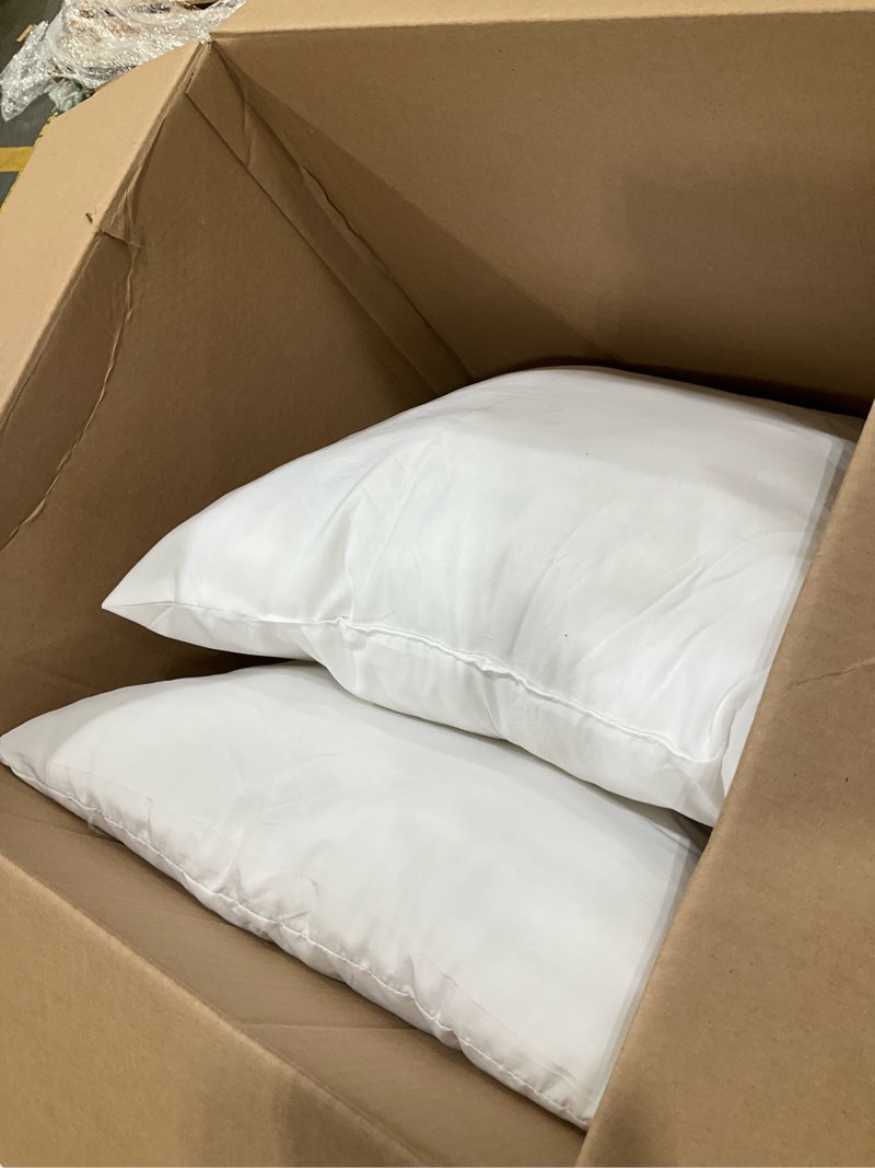 Condition photo showing Good Condition for raajsee 20x20 Throw Pillow Inserts Set of 2 - Luxurious Comfort for Your Couch and Sofa | Fluffy, Soft & Durable | Perfect for Decorative Shams | Machine Washable 20x20 Inches/50x50 cms