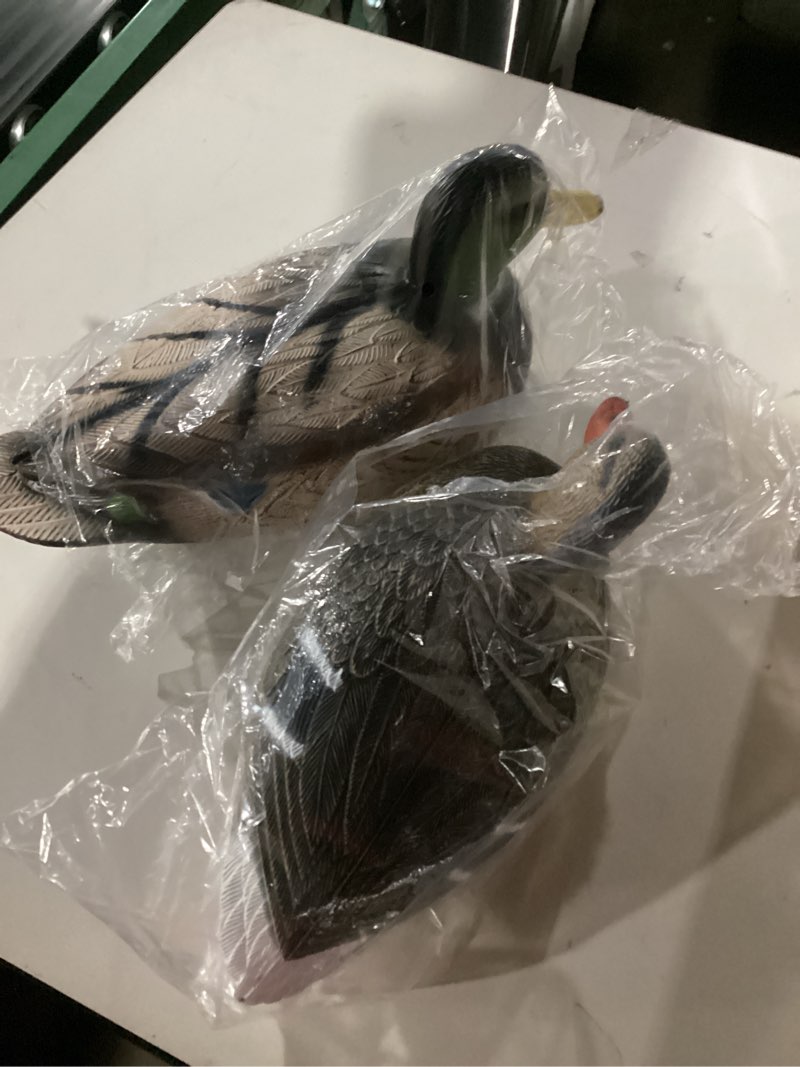 Condition photo showing As Is for Cupped Waterfowl Duck Decoys, Extremely Realistic 6-Pack of Duck Floater Decoys with Weighted Keels, Great for Waterfowl Hunting Mallard Duck Decoy