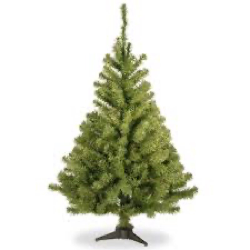 national tree company 3 ft unlit kincaid spruce mini artificial christmas tree, 113 tips, includes s
