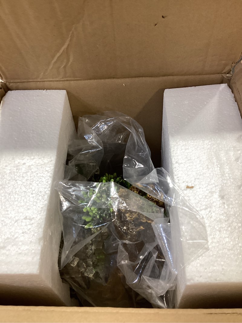 Condition photo showing Good Condition for Fish Tank Decorations Aquarium Décor Resin Artificial Tree Trunk Root (B)