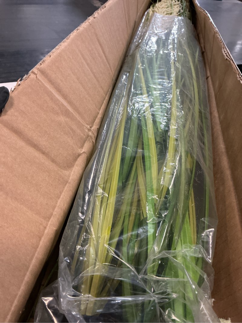 Condition photo showing Good Condition for panlaolao artificial plant 47in120cm tall 2pk grass, onion grass artificial greenery floor plants faux pampas grass in pot, ideal housewarming/office gift for indoor outdoor