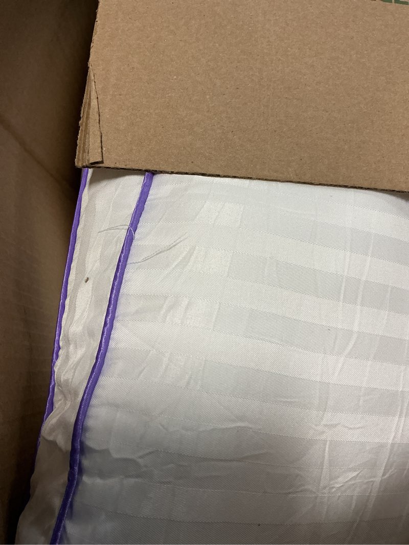 Condition photo showing Good Condition for MUXHOMO Bed Pillows King Size Set of 2, Hotel Collection Sleeping Pillows 2 Pack for Side and Back Sleepers, Down Alternative Plump Filling, 20 x 36 Inches King (Pack of 2) White