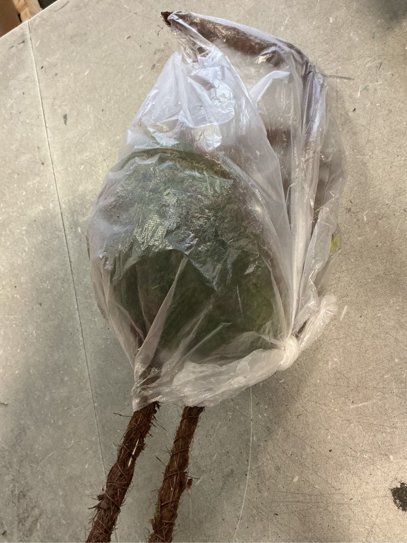 Condition photo showing New/Like New for Galapagos Natural Moss Bird Feeders