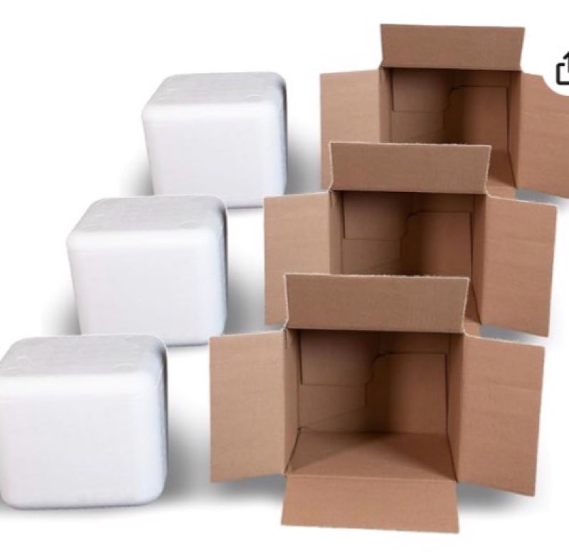 Robin II EPS Foam Cooler (Outside Dimensions: 9” x 8” x 7.5”) with Shipping Box - 3 Pack, Protective