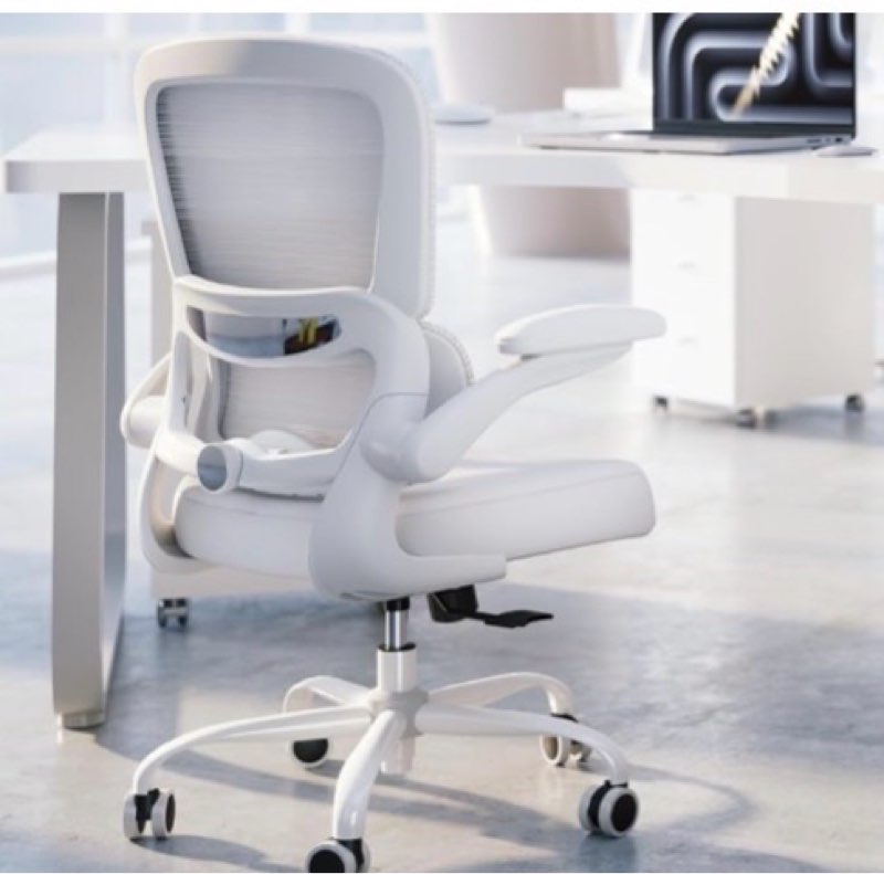 TRALT Office Chair - Ergonomic Desk Chair with Adjustable Lumbar Support, Mesh Computer Chair, Execu