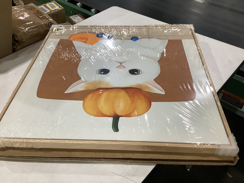 Condition photo showing New/Like New for framed cat canvas wall art, funny cats picture prints paintings, large cute orange and white animal artwork for living room bedroom nursery wall decor 24x24 inch 24"l x 24"w orange and beige