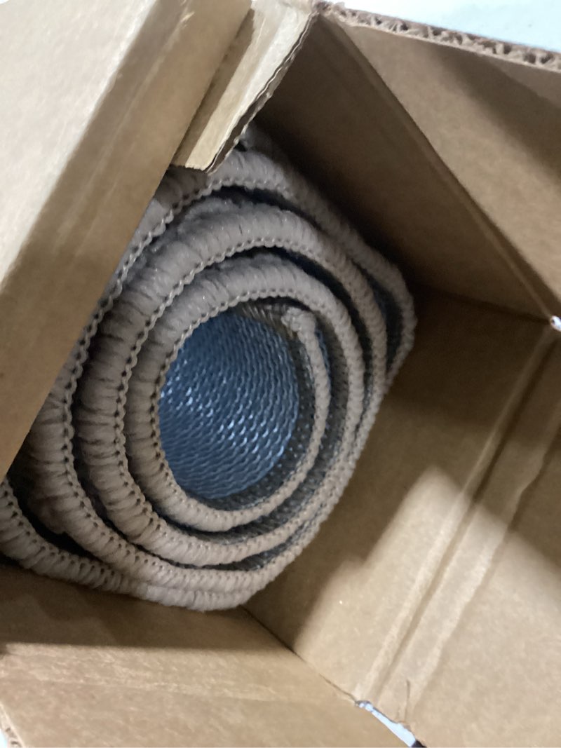 Condition photo showing Good Condition for DEXI Front Entryway Door Mat Non Slip 32x48, Washable Entry Way Mats Inside Entrance Low Profile, Welcome Doormat Dirt Trapper for House Floor Home Porter Hall Backdoor Area, Light Taupe 2'8" x 4' (Rectangular) Light Taupe