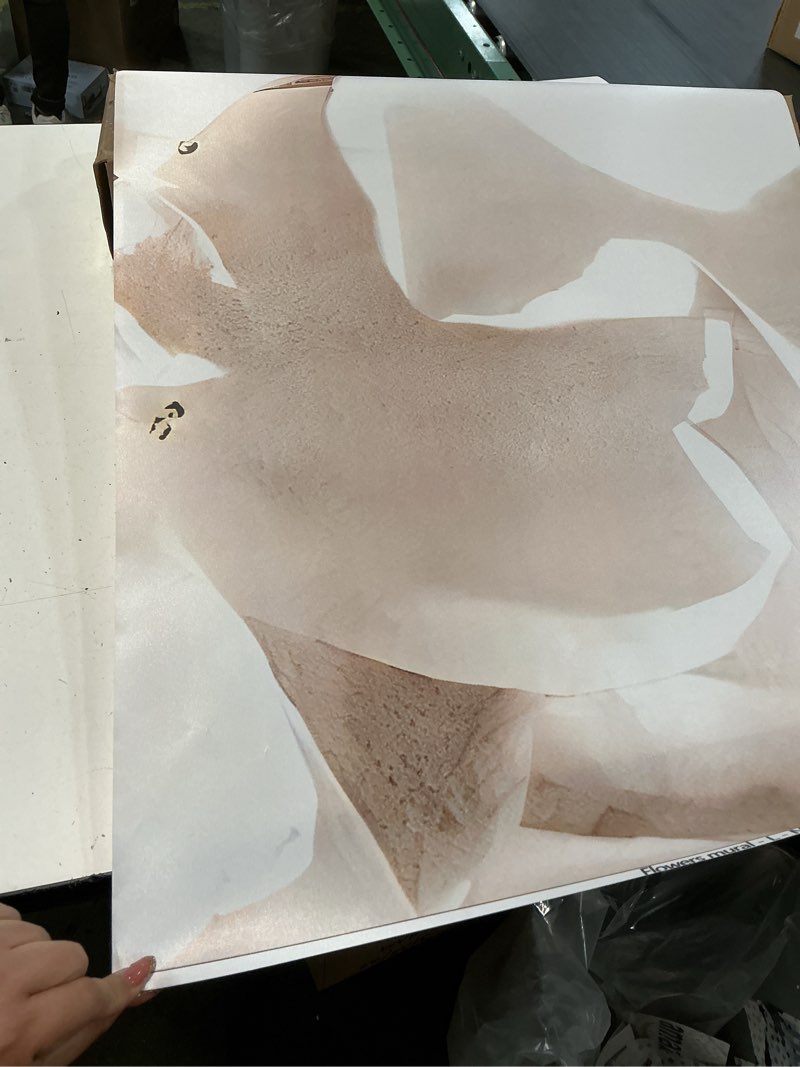 Condition photo showing As Is for pink floral wallpaper large peony flowers wall mural for girls room bedroom?not peel and stick? cybh-957 91" x 60"