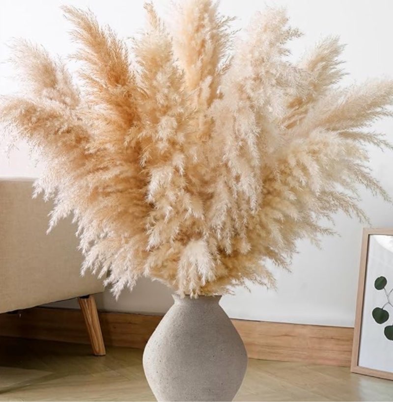 10 pcs 40" tall pampas grass stems in natural beige, add a boho touch to your space—pompas grass ideal for floral arrangements, floor vases, weddings, and creating a bohemian ambiance at home.